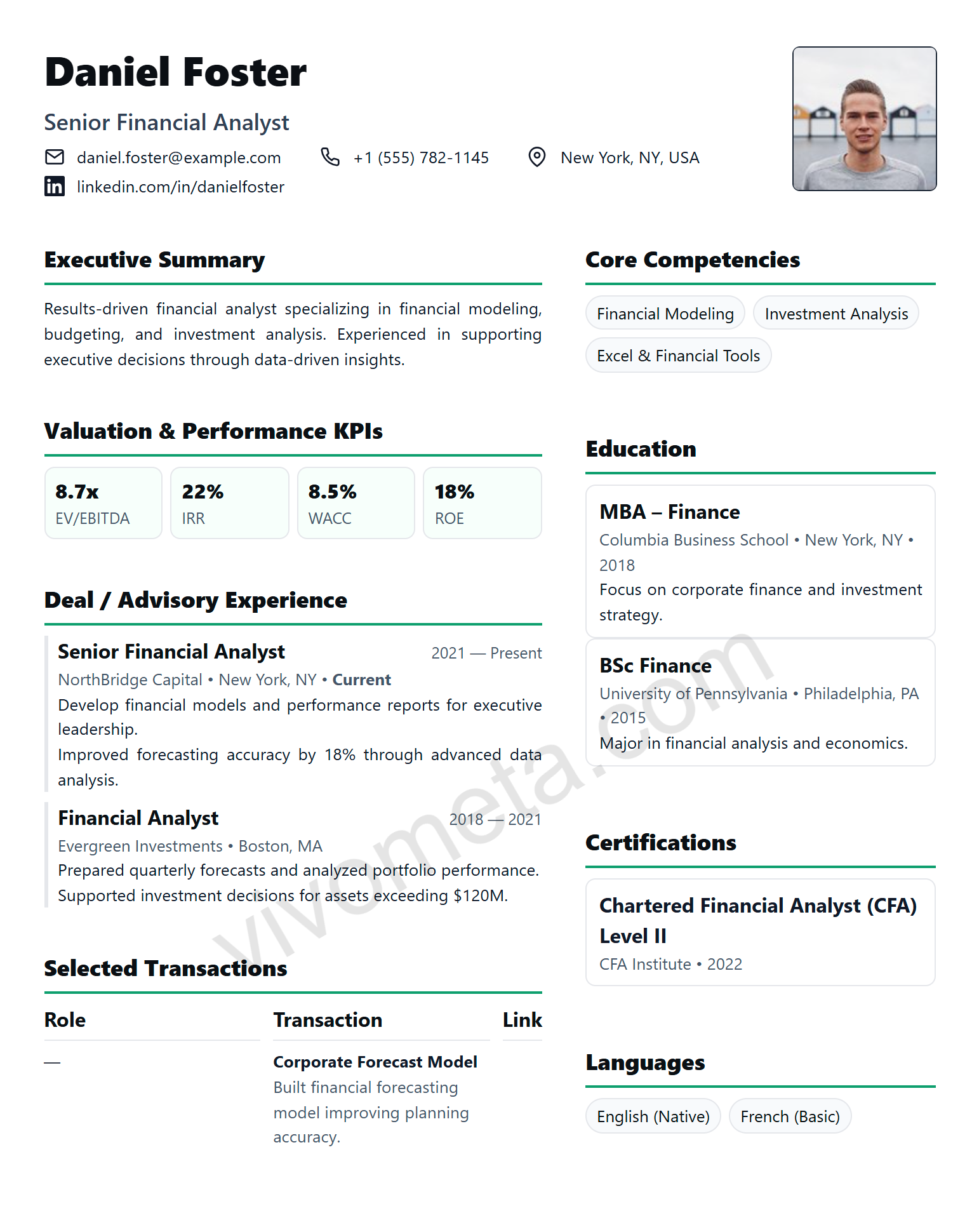 Finance Premium Dense resume template preview