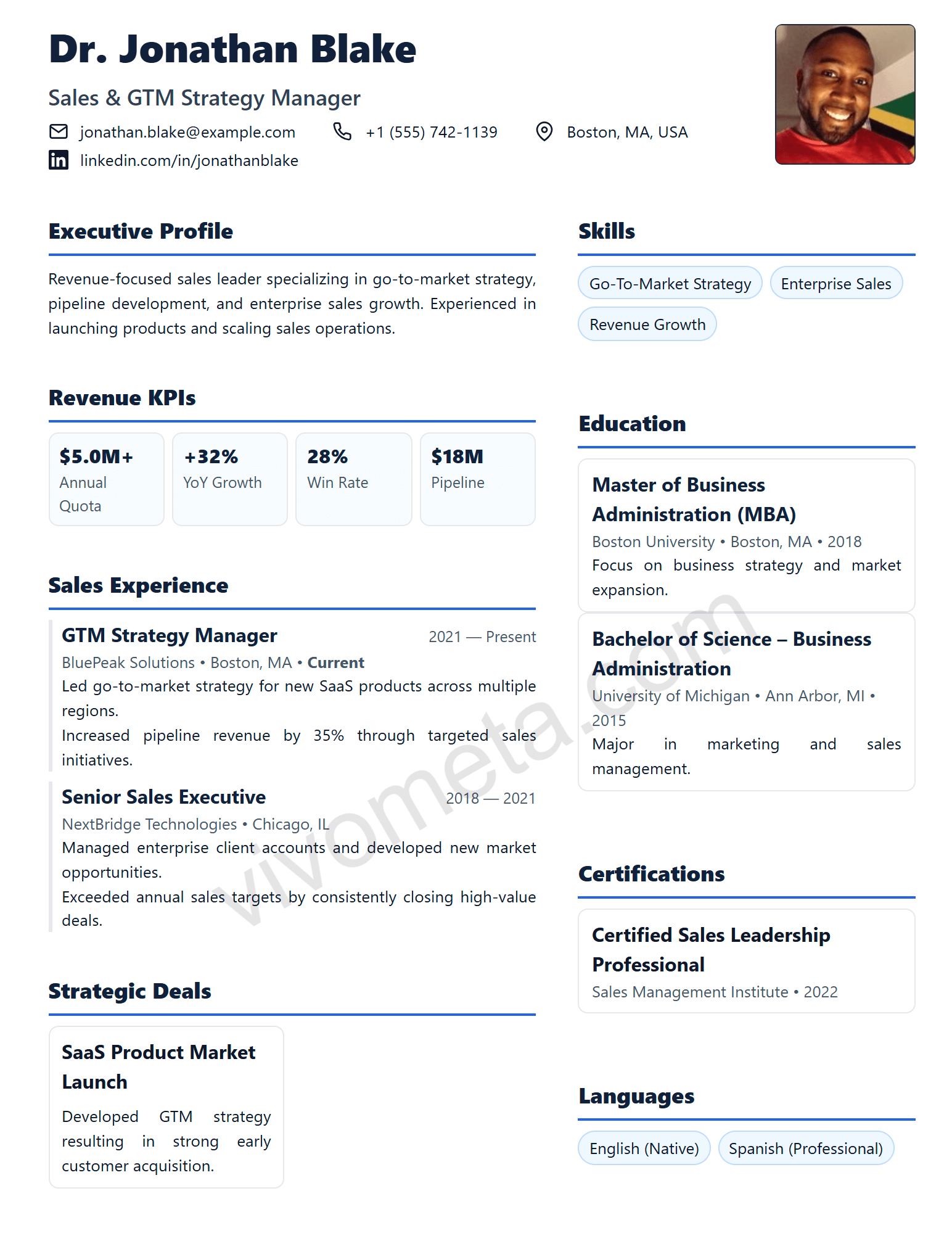 Sales GTM Elite resume template preview